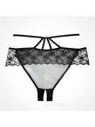 Black Sheer & Lace Angel Crotchless Panty