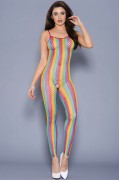 Rainbow Fishnet Crotchless Bodystocking