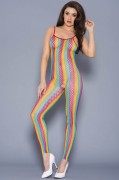 Rainbow Fishnet Crotchless Bodystocking