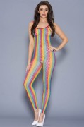 Rainbow Fishnet Crotchless Bodystocking