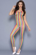 Rainbow Fishnet Crotchless Bodystocking