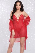 Rouge Red Mesh Chemise Lingerie & Robe Set